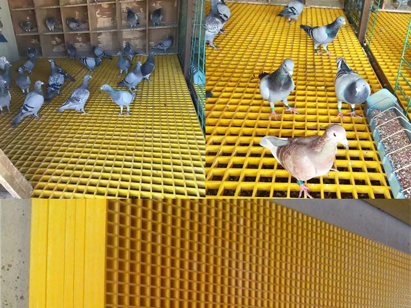 東區(qū)鴿舍用玻璃鋼格柵